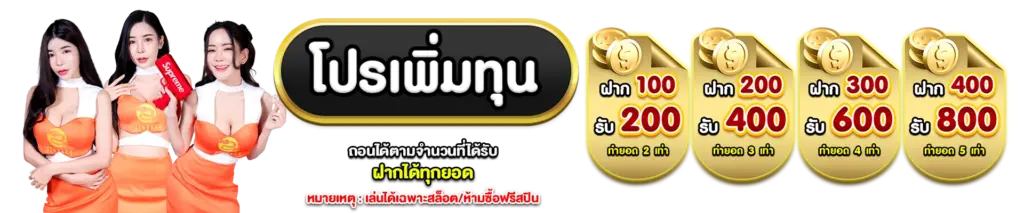 โปรเพิ่มทุน